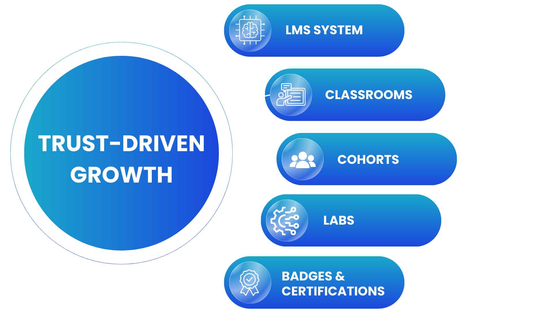08_AGENTIC Trust-Driven Growth Graphic