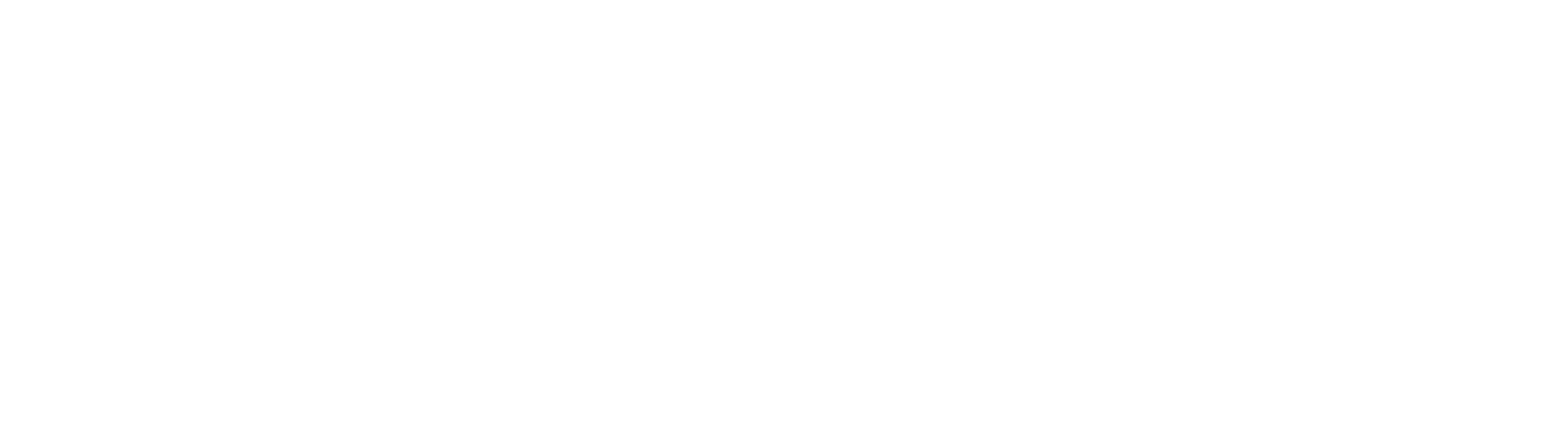 zenlytic